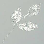 Pisak Wink of Stella Brush - Clear - ZIG Kuretake przezroczysty