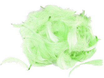 Piórka  dekoracyjne 10g - miętowe