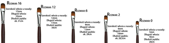 Pędzle koci język Phoenix - Zestaw 5szt.