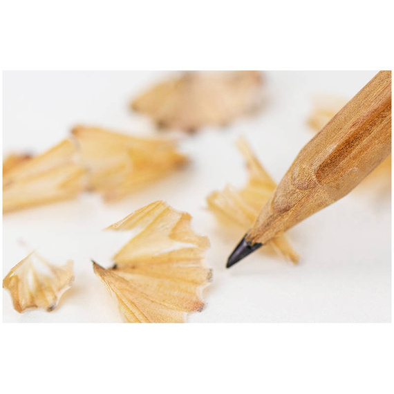 Ołówek grafitowy Phoenix - Picasso B