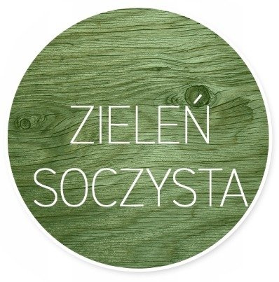 Patyna vintage do drewna - zieleń soczysta 159