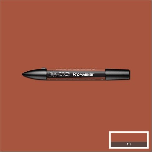 Promarker Winsor&Newton BURNT UMBER 100 umbra palona