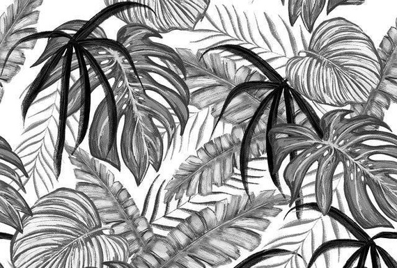 Zestaw ołówków grafitowych Phoenix Picasso 10 sztuk rysunek szkic