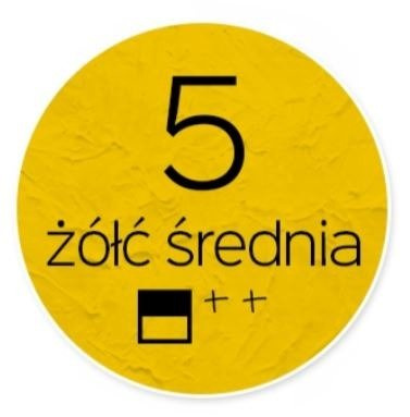 Farba akrylowa Renesans 200ml - 05 żółć średnia