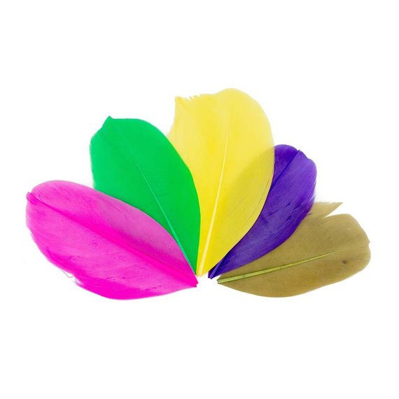Piórka dekoracyjne 4-8cm 50 sztuk - mix kolorów